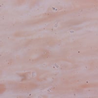 Tristone-M-703-Water-Weed