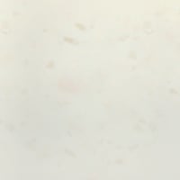 Tristone-F-130-Primrose