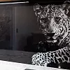 Кухня Саванна